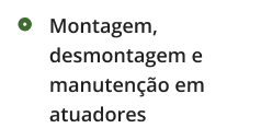 Montagem, desmontagem e manutenção em atuadores